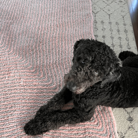 Ruby’s Mitered Square Blanket
2