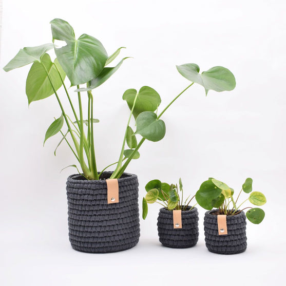 Large Ribbon Pot
2