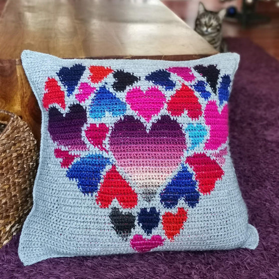 Heart Full of Joy - Pillow
4