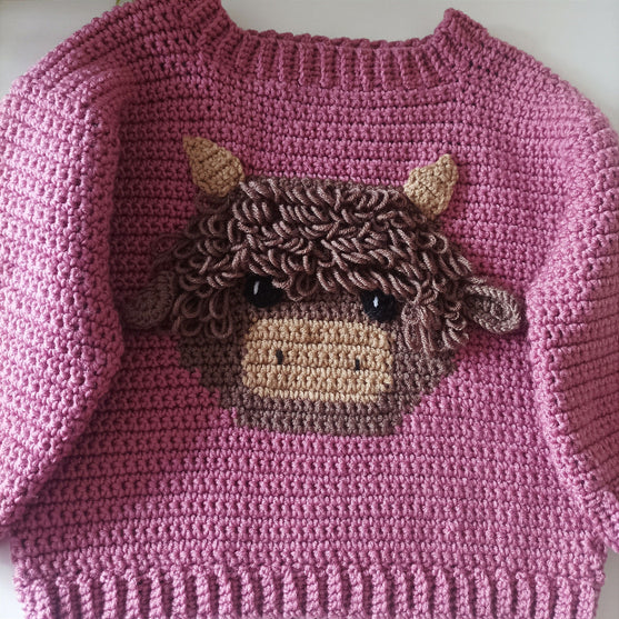 Highland Cow - Children’s Jumper
3