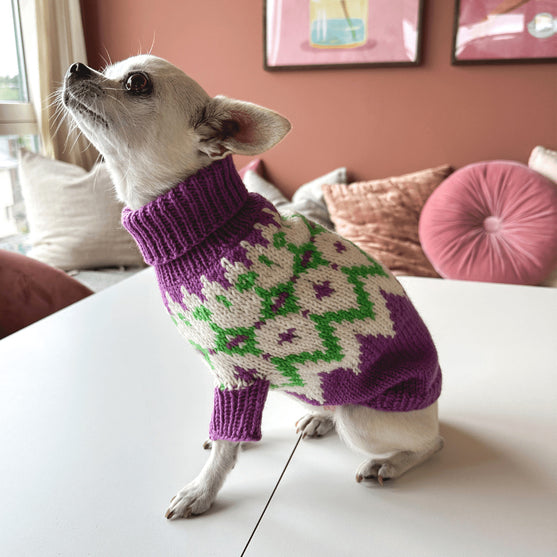 Chihuahua - Dog Sweater
3
