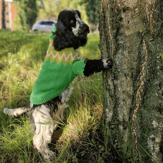 Cocker Spaniel - Dog Sweater
3