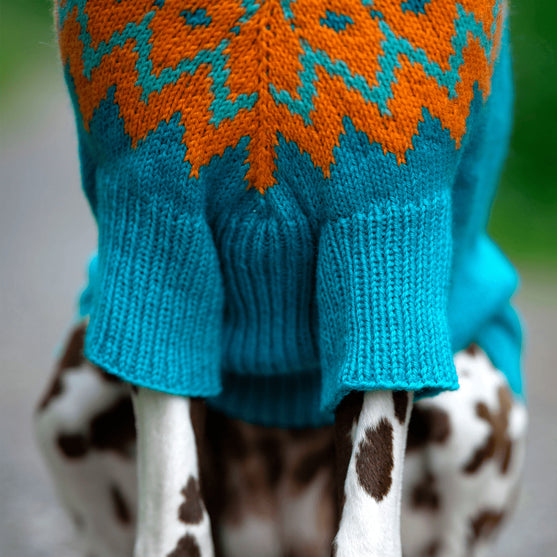 Dalmatian - Dog Sweater
4