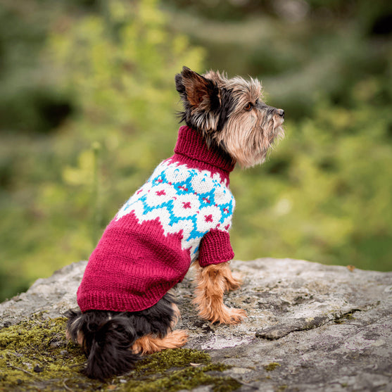 Yorkshire Terrier - Dog Sweater
3