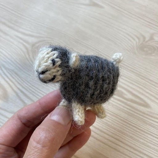 Wooly
3