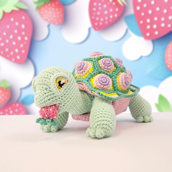 Astro the Tortoise
9