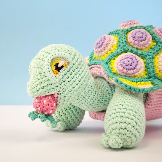 Astro the Tortoise
12