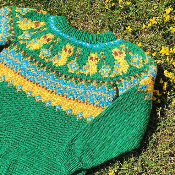 Silly Owl - Children’s sweater
5