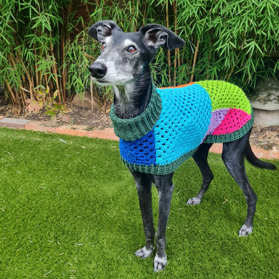 Wally - Dog Jumper
4