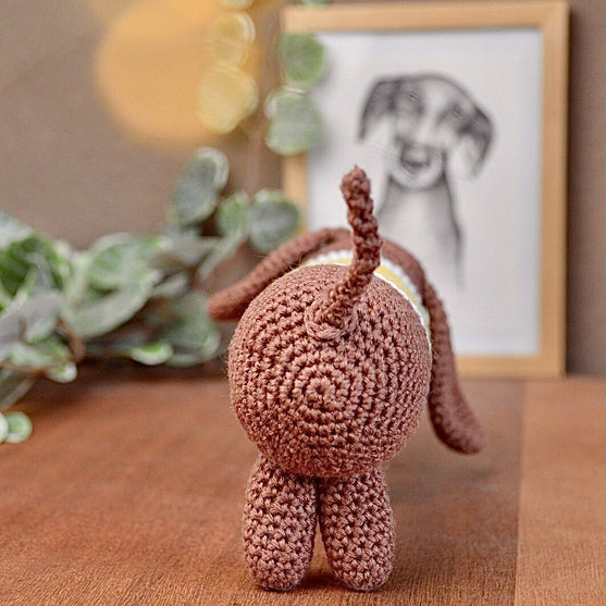 Dagobert Dachshund
2