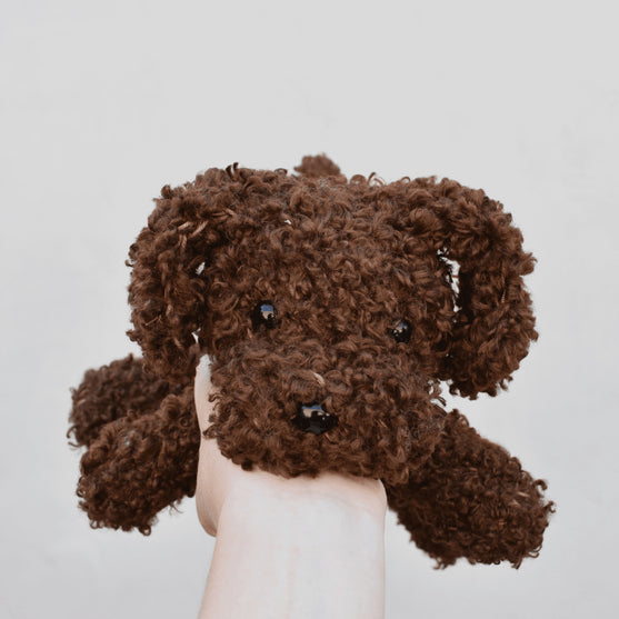 Cavapoo
6
