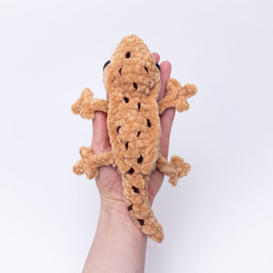 Gavin the Gecko
5