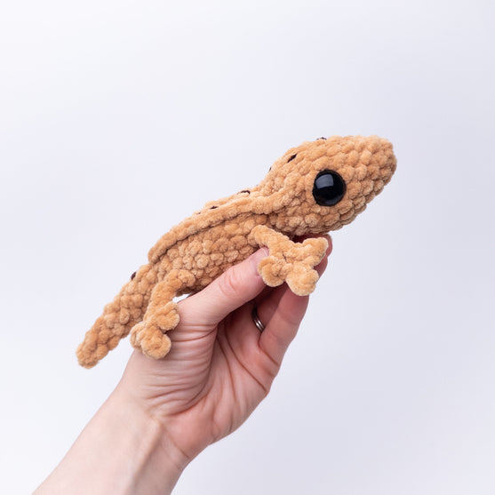 Gavin the Gecko
3
