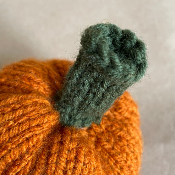 Mini-pumpkin - Small decoration pumpkins
4