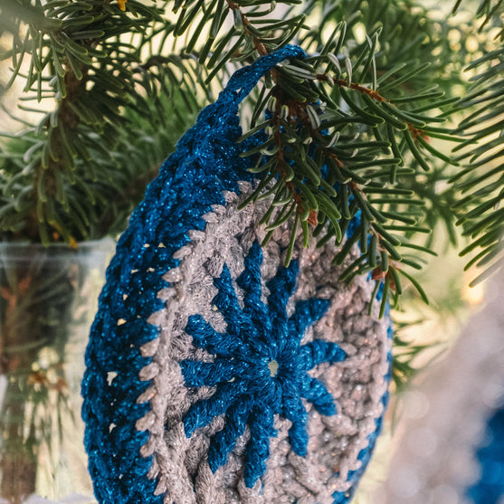 Shiny Bauble - Ornament
11
