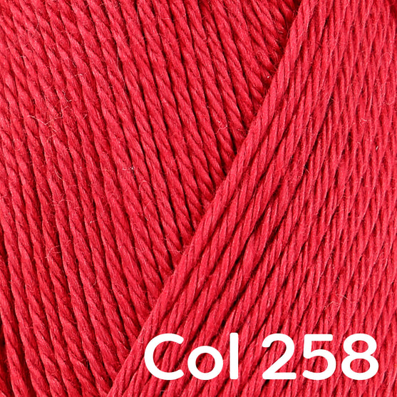 Catania - Schachenmayr
44