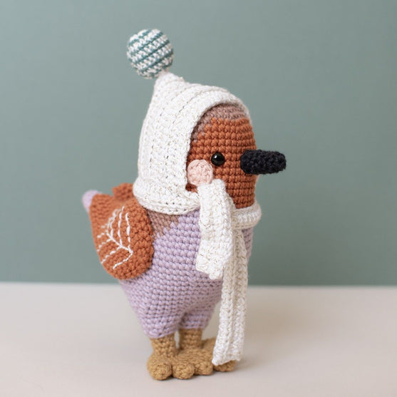 3rd Sunday of Advent - Amigurumi - Grayson Robin
2