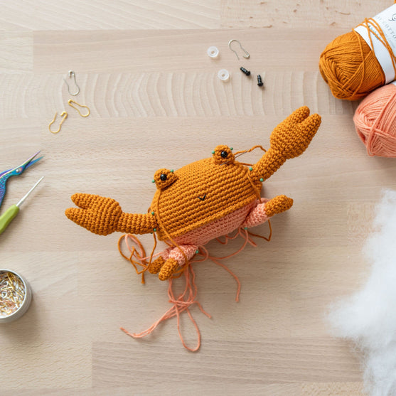Rachele the Crab
4
