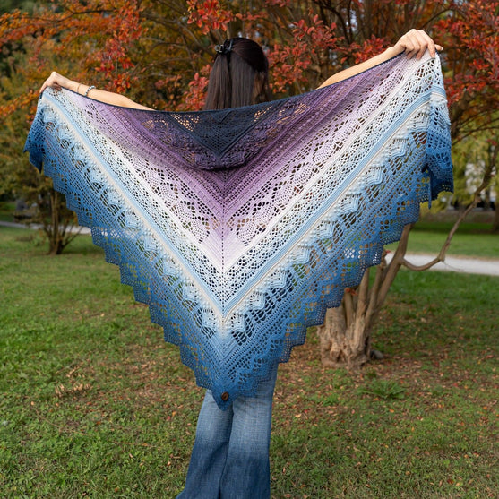 Frozen Iris - Shawl
10