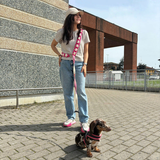 Lacy - Hands-free leash
3