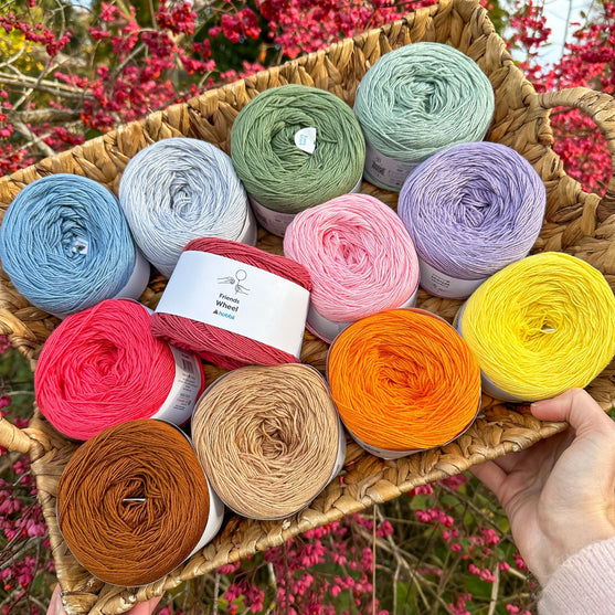 Friends Wheel - Friends
3