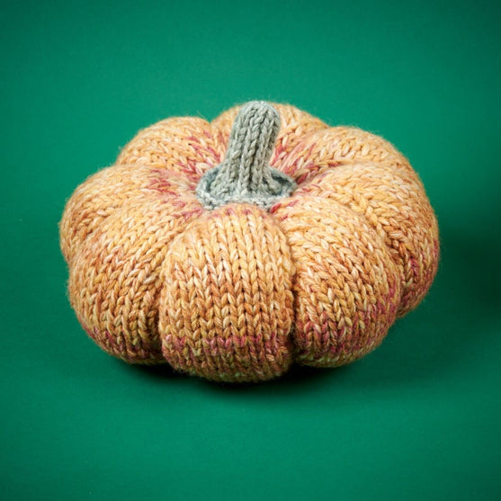 Giant Pumpkin
6