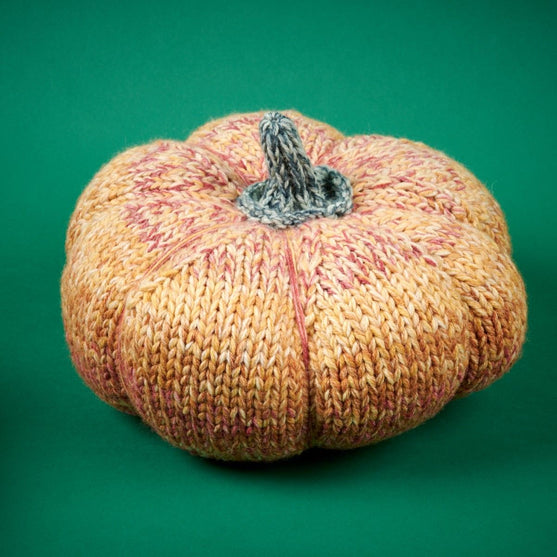 Giant Pumpkin
7