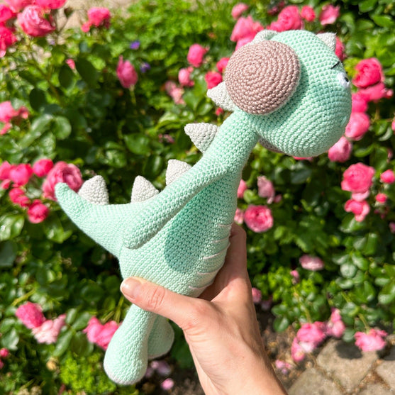 Safi the Dino
5