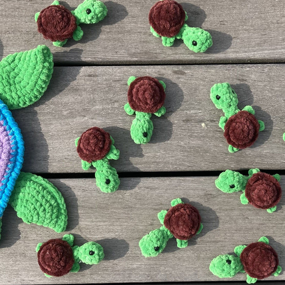 Rainbow Turtles - Memory Game
8