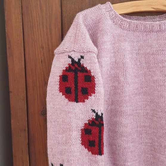 Ladybug - Children’s Sweater
3