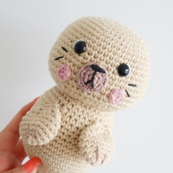 Sandy the Sea Lion
5