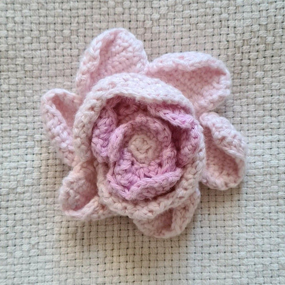 Peonie Flower
4