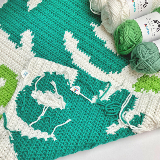 Monstera - Cushion
4