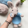 

Little Bunny - Lovey
2