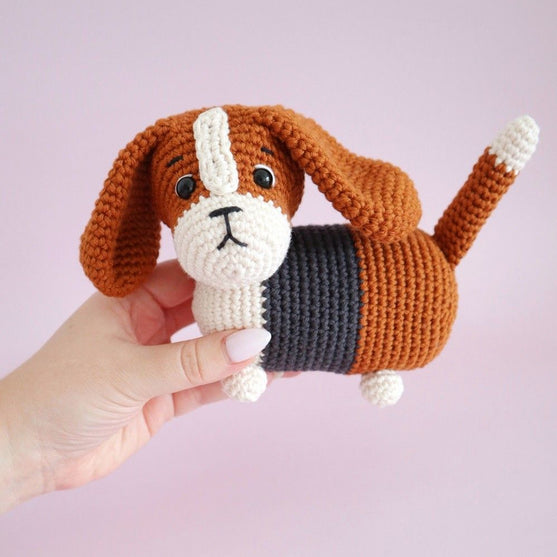 

Gus the Basset Hound
7