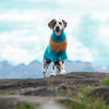 

Dalmatian - Dog Sweater
1