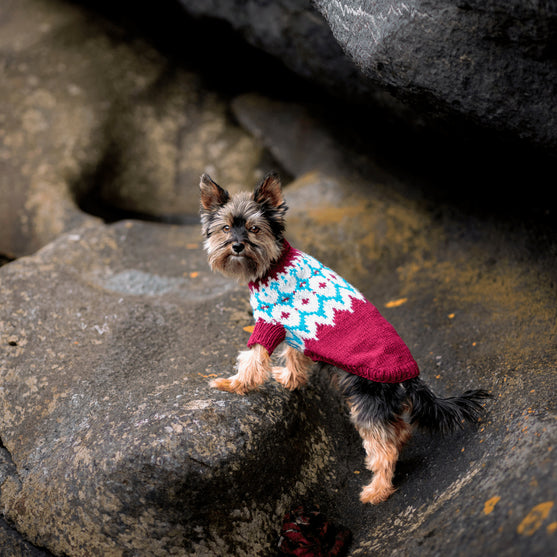 

Yorkshire Terrier - Dog Sweater
2