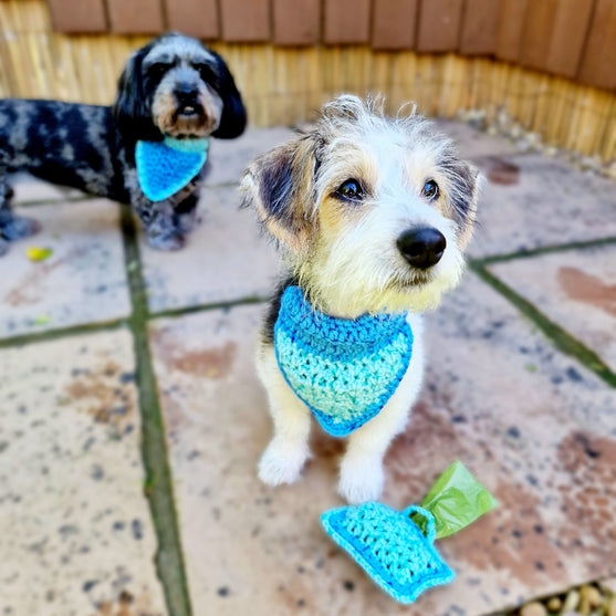 

Alfie - Bandana & Matching Poop Bag Holder
4