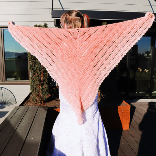Jenny’s Shawl