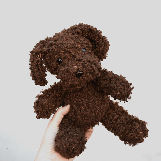 

Cavapoo
4