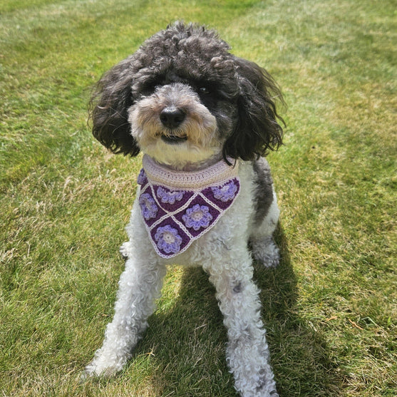 

Millie’s - Dog bandana
1