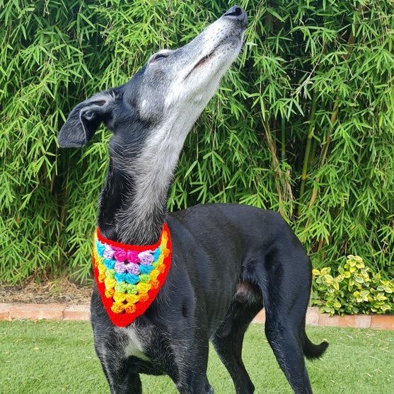 

Dandy - Dog Bandana
3