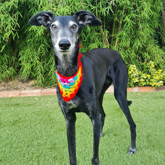 

Dandy - Dog Bandana
4
