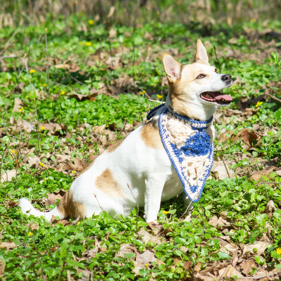 

Gina - Dog bandana
2