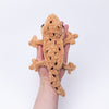 

Gavin the Gecko
5