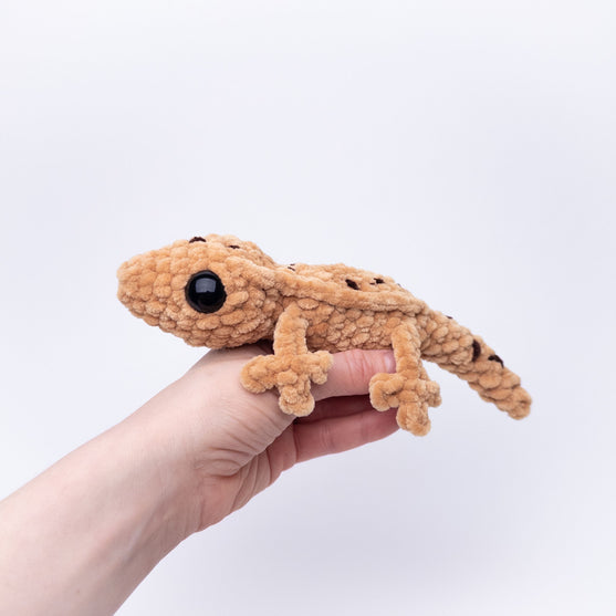 

Gavin the Gecko
1