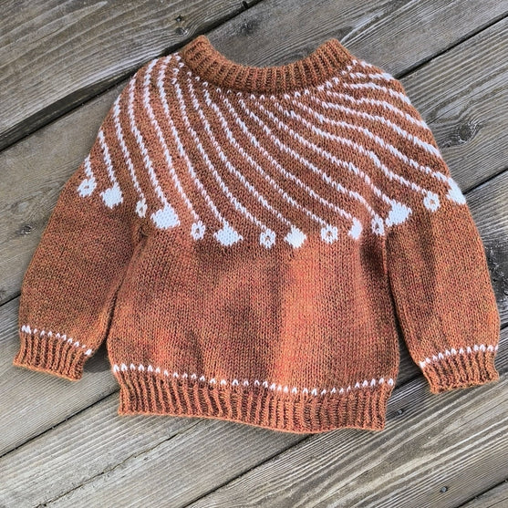 

Shooting Star - Children’s Sweater
1