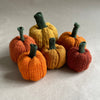 

Mini-pumpkin - Small decoration pumpkins
7