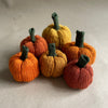 

Mini-pumpkin - Small decoration pumpkins
1