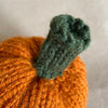 

Mini-pumpkin - Small decoration pumpkins
4